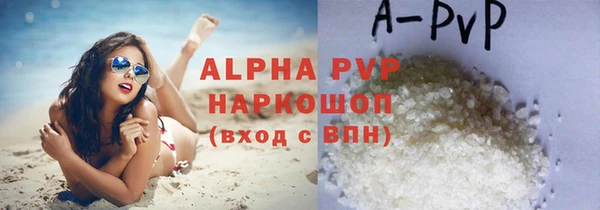 стафф Баксан