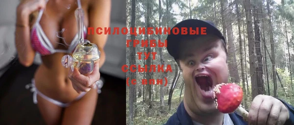 стафф Баксан
